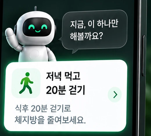 비핏 제안